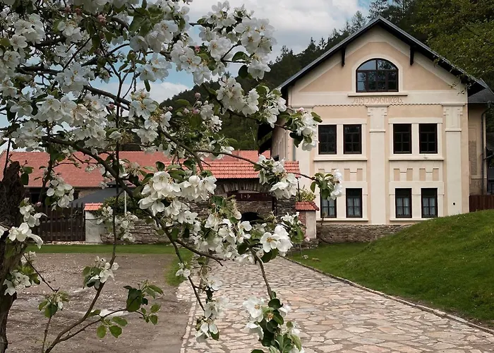 מלון Mlyn Davidkov