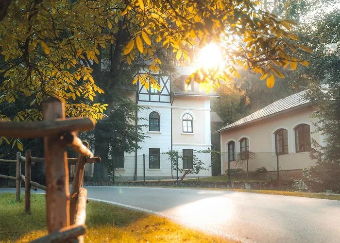 Hotel Mlyn Davidkov *